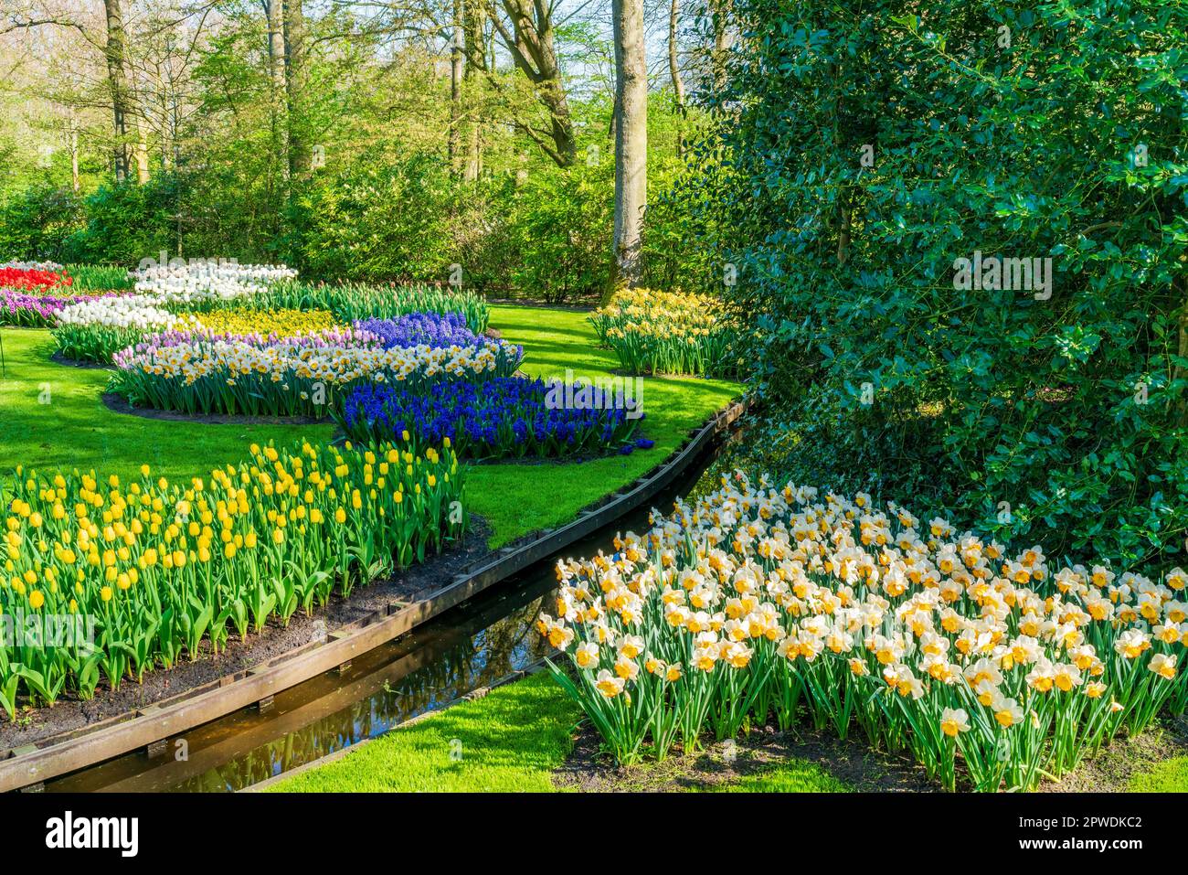 Magnifique jardin de Keukenhof avec fleurs en fleur, Hollande Banque D'Images