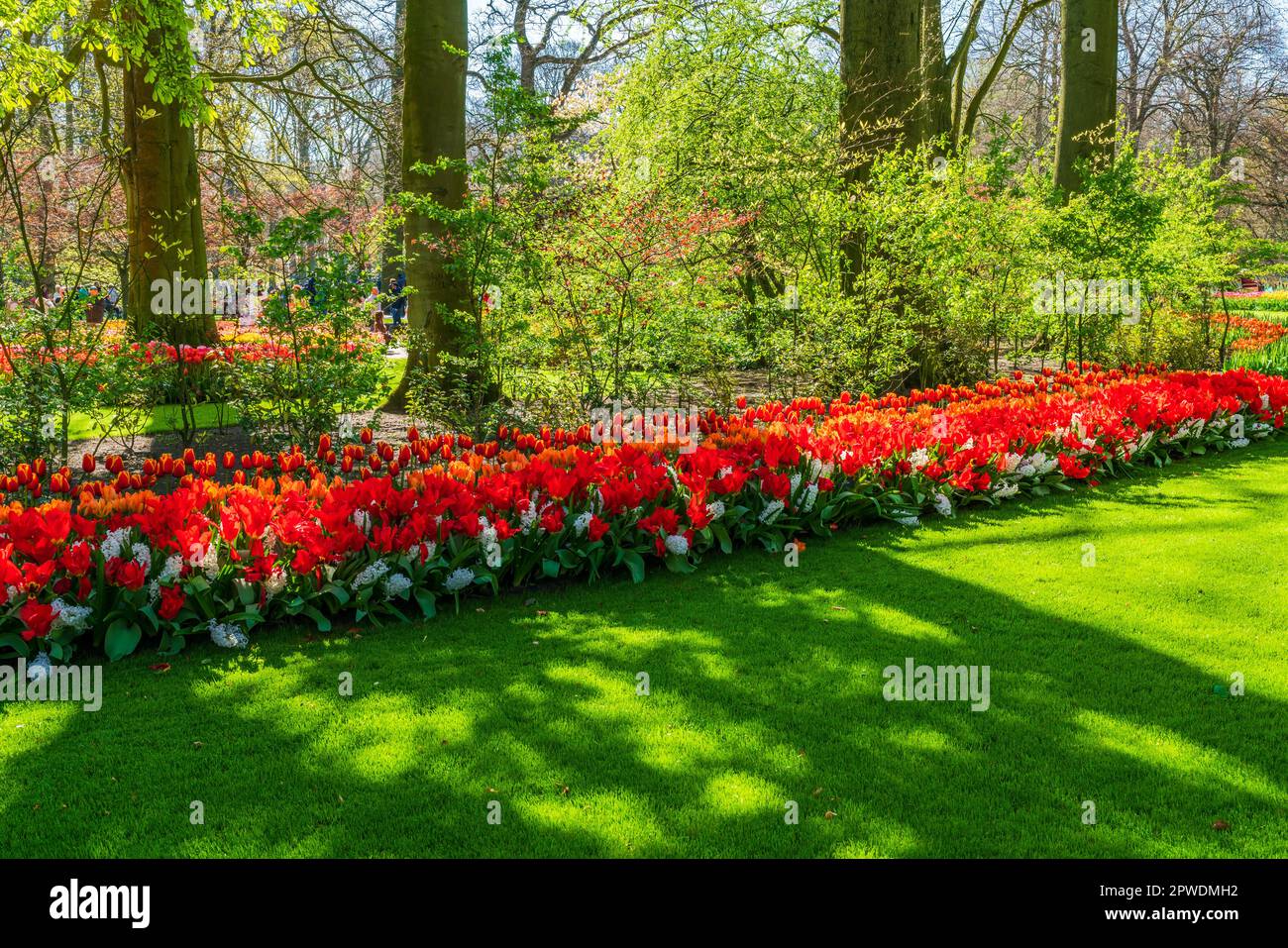 LISSE, HOLLANDE - 19 AVRIL 2023 : Keukenhof, également connu sous le nom de jardin d'Europe, est l'un des plus grands jardins fleuris du monde, situé à Lisse. Banque D'Images