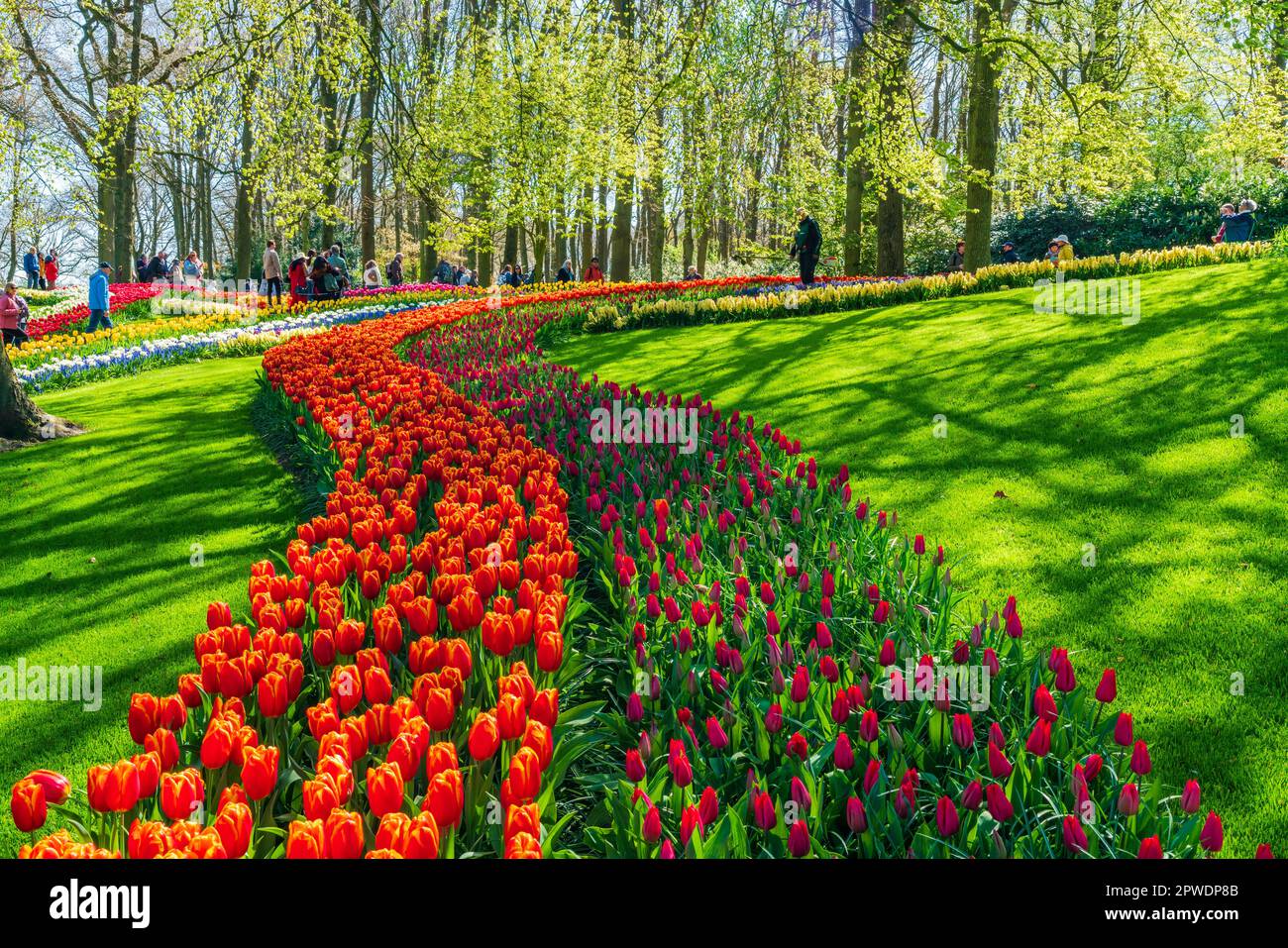 LISSE, HOLLANDE - 19 AVRIL 2023 : les visiteurs apprécient les tulipes en fleurs dans le parc de Keukenhof, l'un des plus grands jardins fleuris du monde Banque D'Images