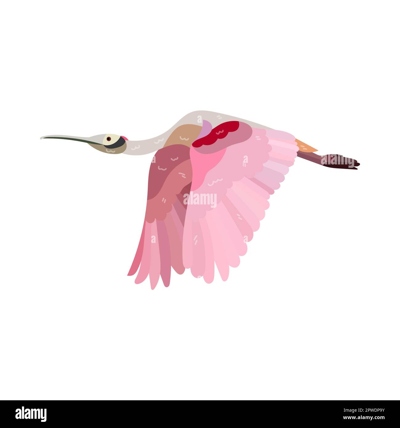 Roseate spoonbill et oiseau tropical lumineux Illustration de Vecteur