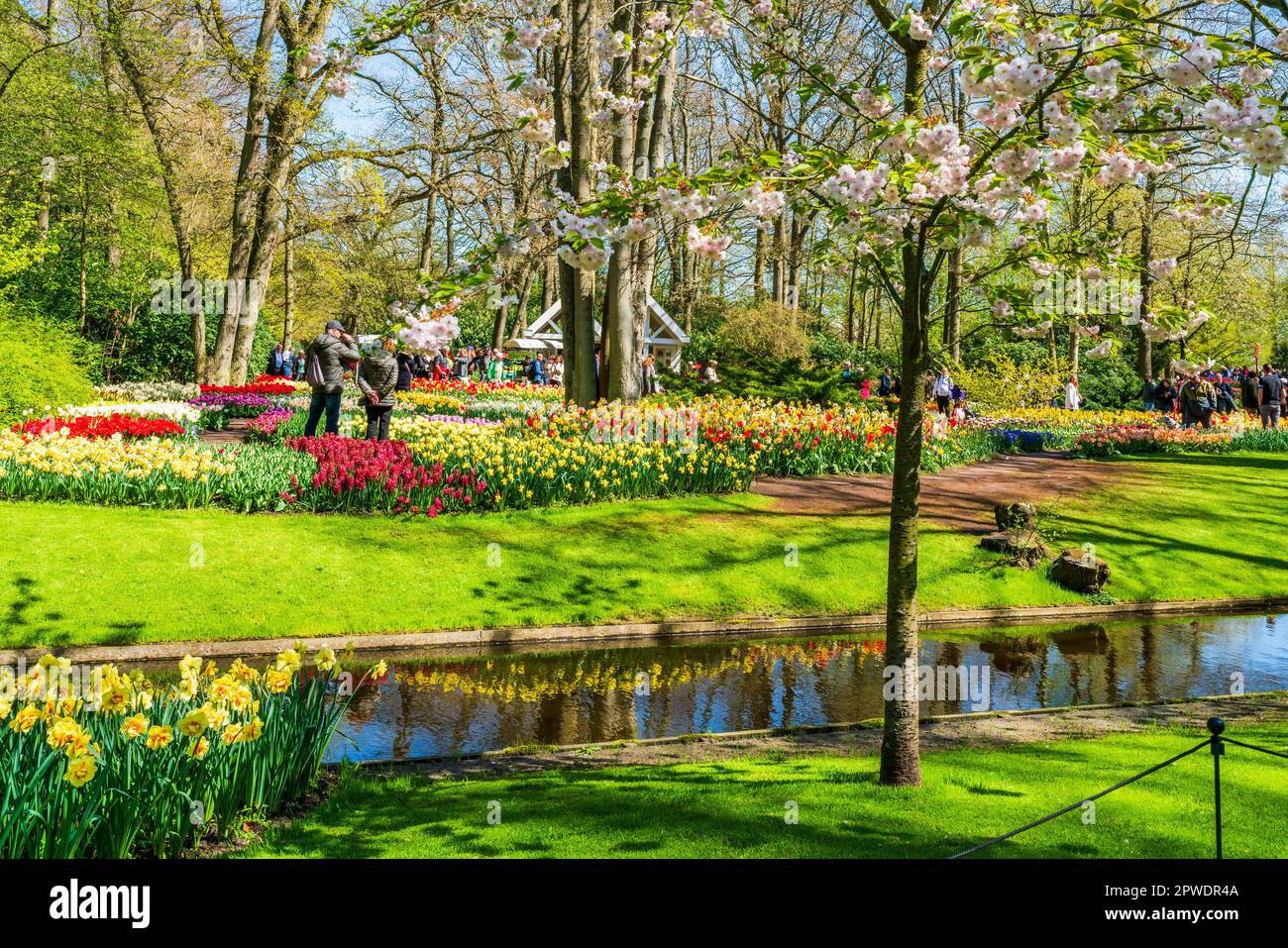 LISSE, HOLLANDE - 19 AVRIL 2023 : Keukenhof, également connu sous le nom de jardin d'Europe, est l'un des plus grands jardins fleuris du monde, situé à Lisse. Banque D'Images