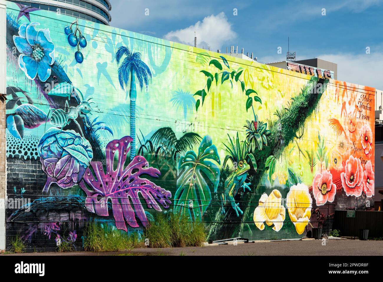Flora and Fauna Street Art par Mike Makatron et SPED, Darwin, NT, Australie Banque D'Images