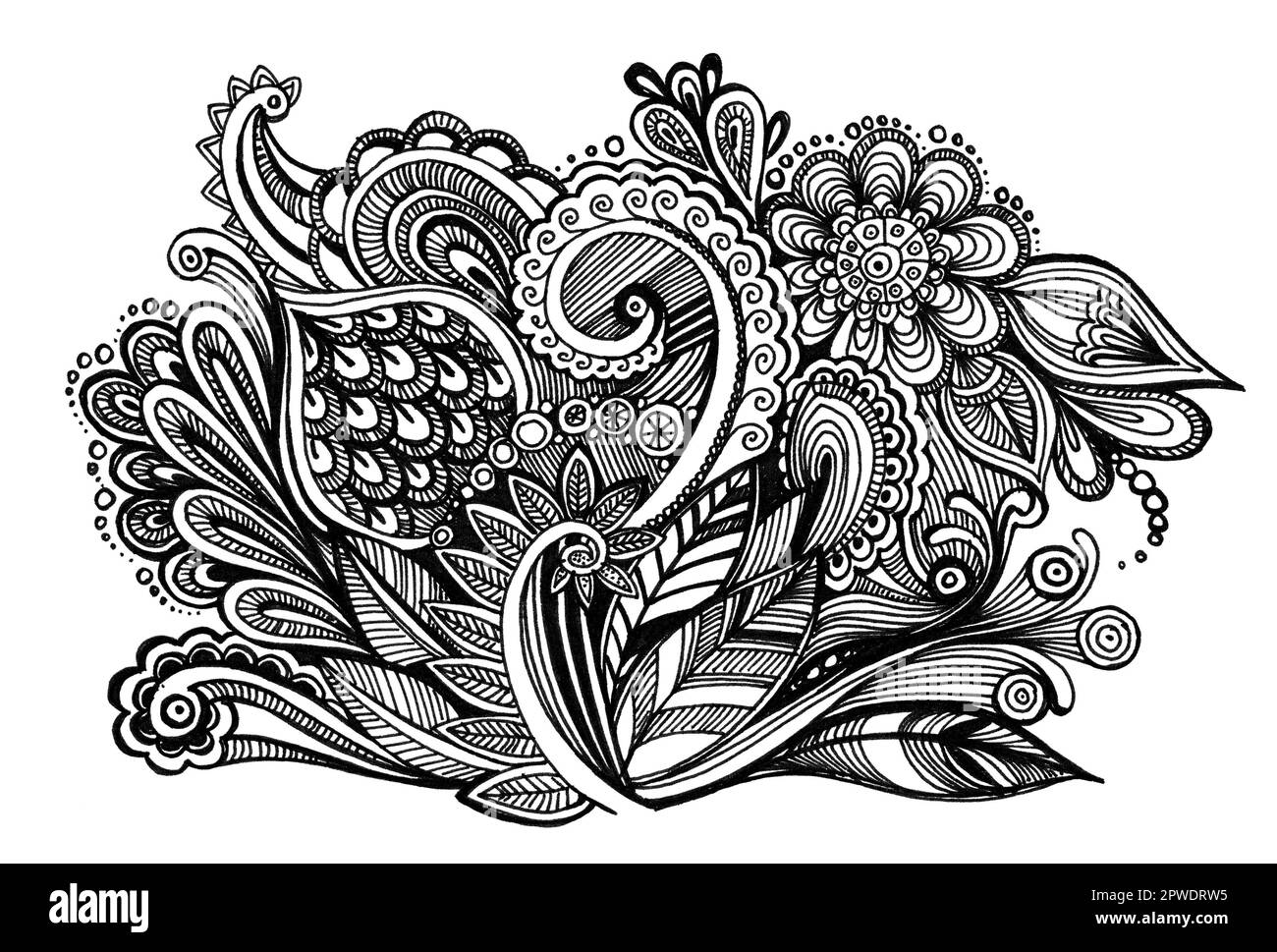 Dessin à la main motif floral, fleurs monochromes sur fond blanc, gribouillage pour textil, mariage, couleur noir et blanc Banque D'Images