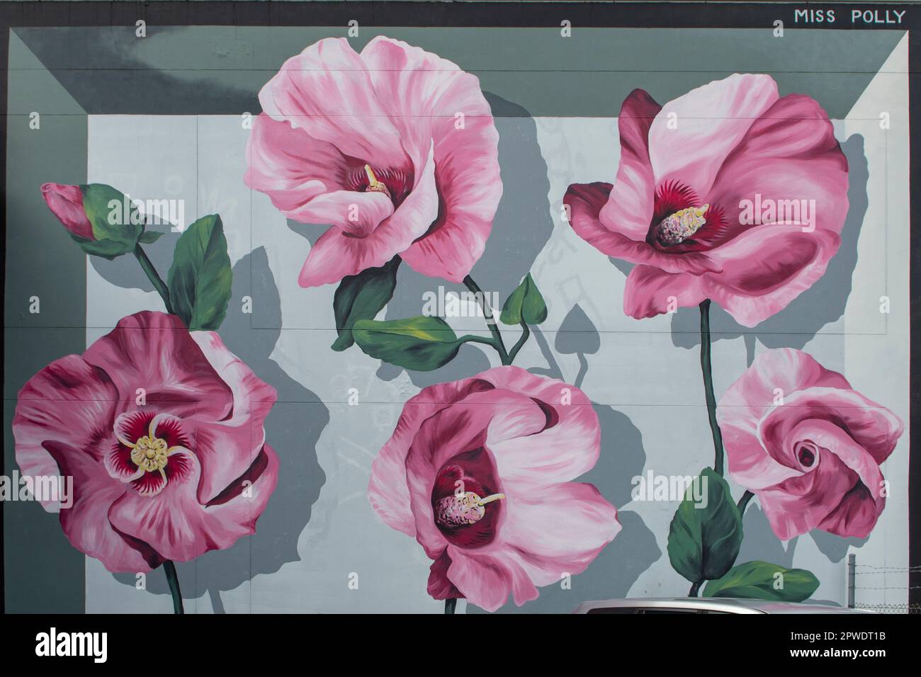 Hibiscus Street Art de Polly Johnston, Darwin, NT, Australie Banque D'Images