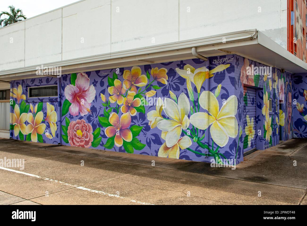 Flowers Street Art par Polly Johnston, Darwin, territoire du Nord, Australie Banque D'Images