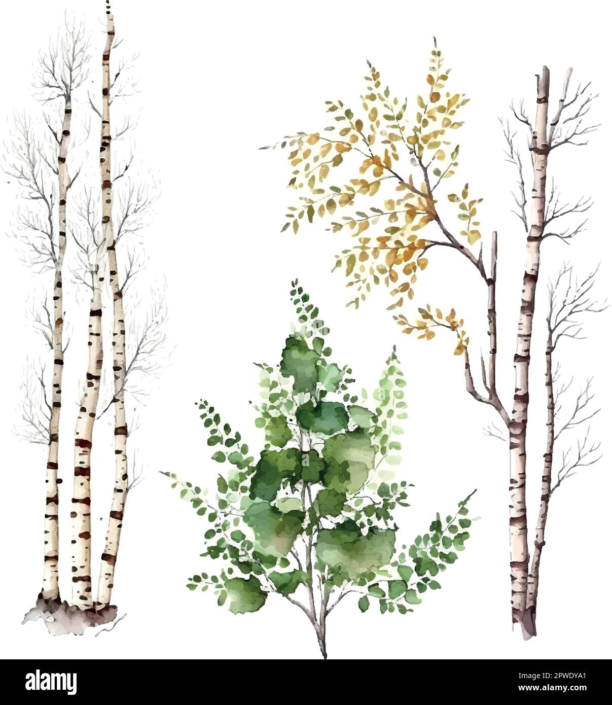 Aquarelle bouleau arbres Russie arbre Elément de conception pour fonds d'écran, site web arrière-plan Illustration vectorielle. Illustration de Vecteur