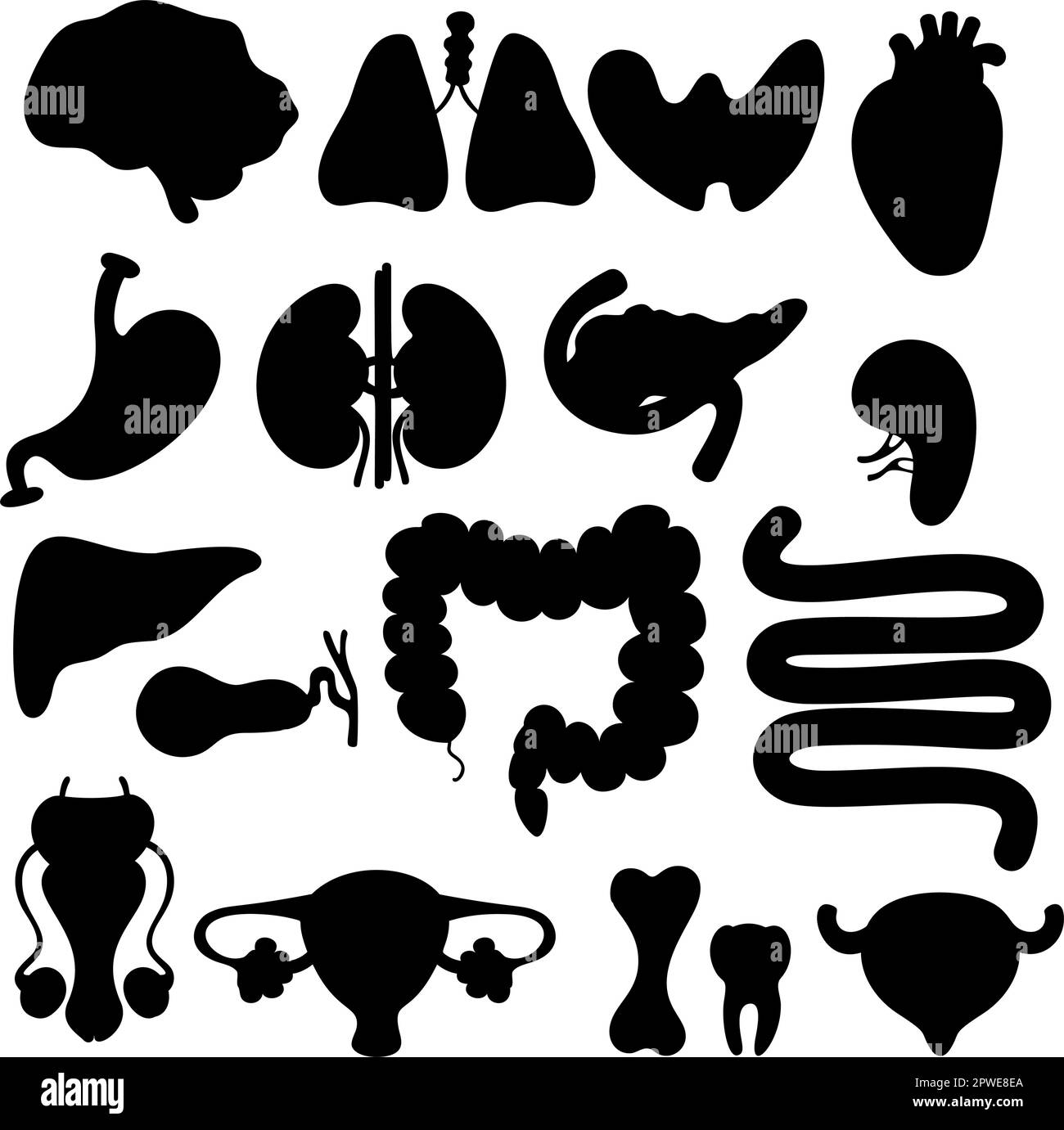 Collection d'organes médicaux silhouettes. Organes internes humains. illustration vectorielle. Concept anatomique. Silhouettes de dessins graphiques isolés pour le design, Illustration de Vecteur