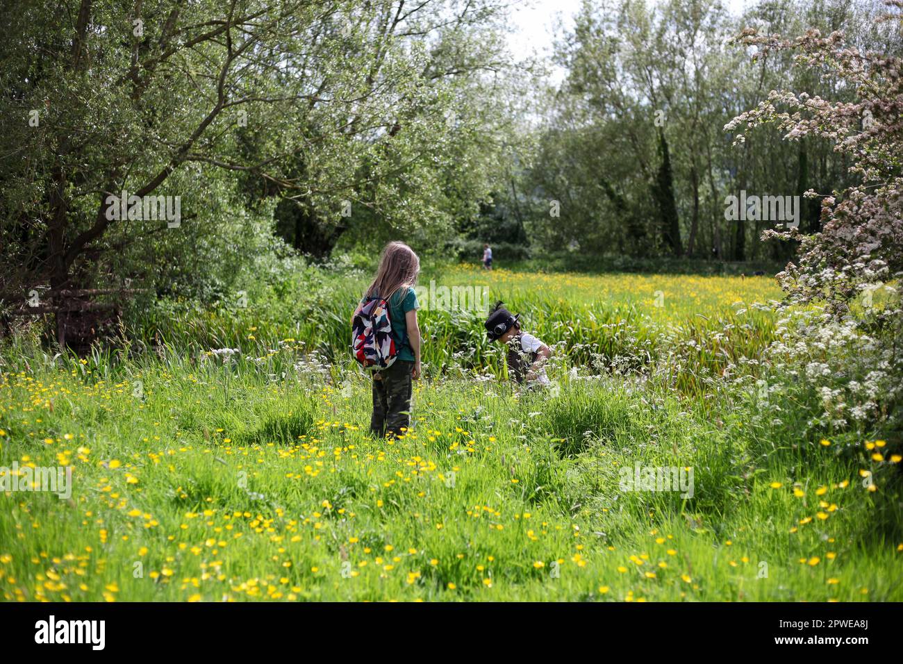Enfants jouant dans la nature Banque D'Images