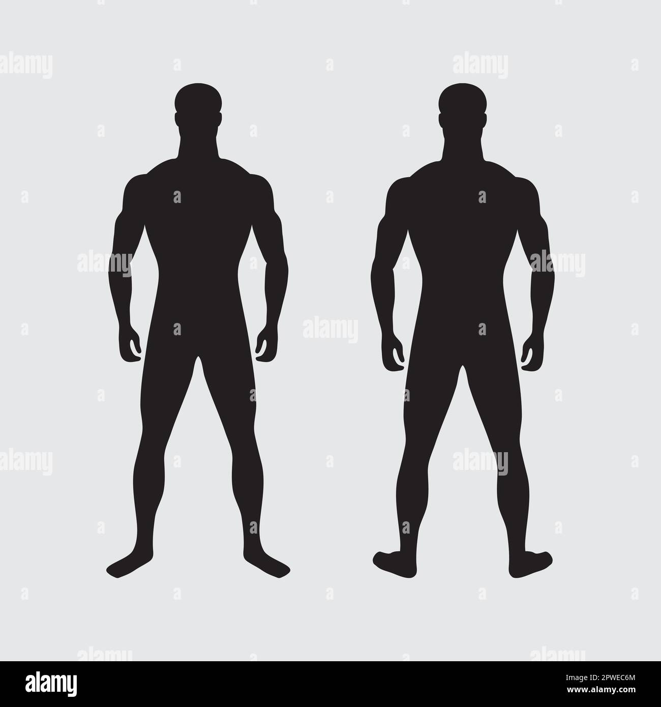 Homme musclé adulte avec figure mâle standard. Deux silhouettes à l'avant et à l'arrière. Caractère inconnu avec des proportions physiques et corporelles correctes. Debout s Illustration de Vecteur