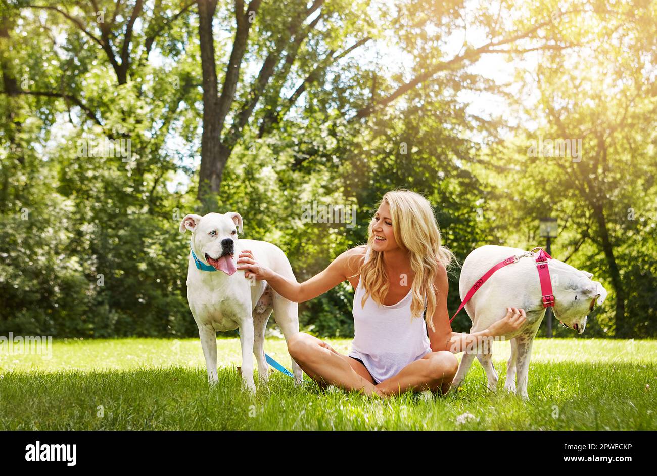 Les chiens sont les meilleurs amis que tout le monde puisse jamais demander. une jeune femme avec ses deux chiens au parc. Banque D'Images