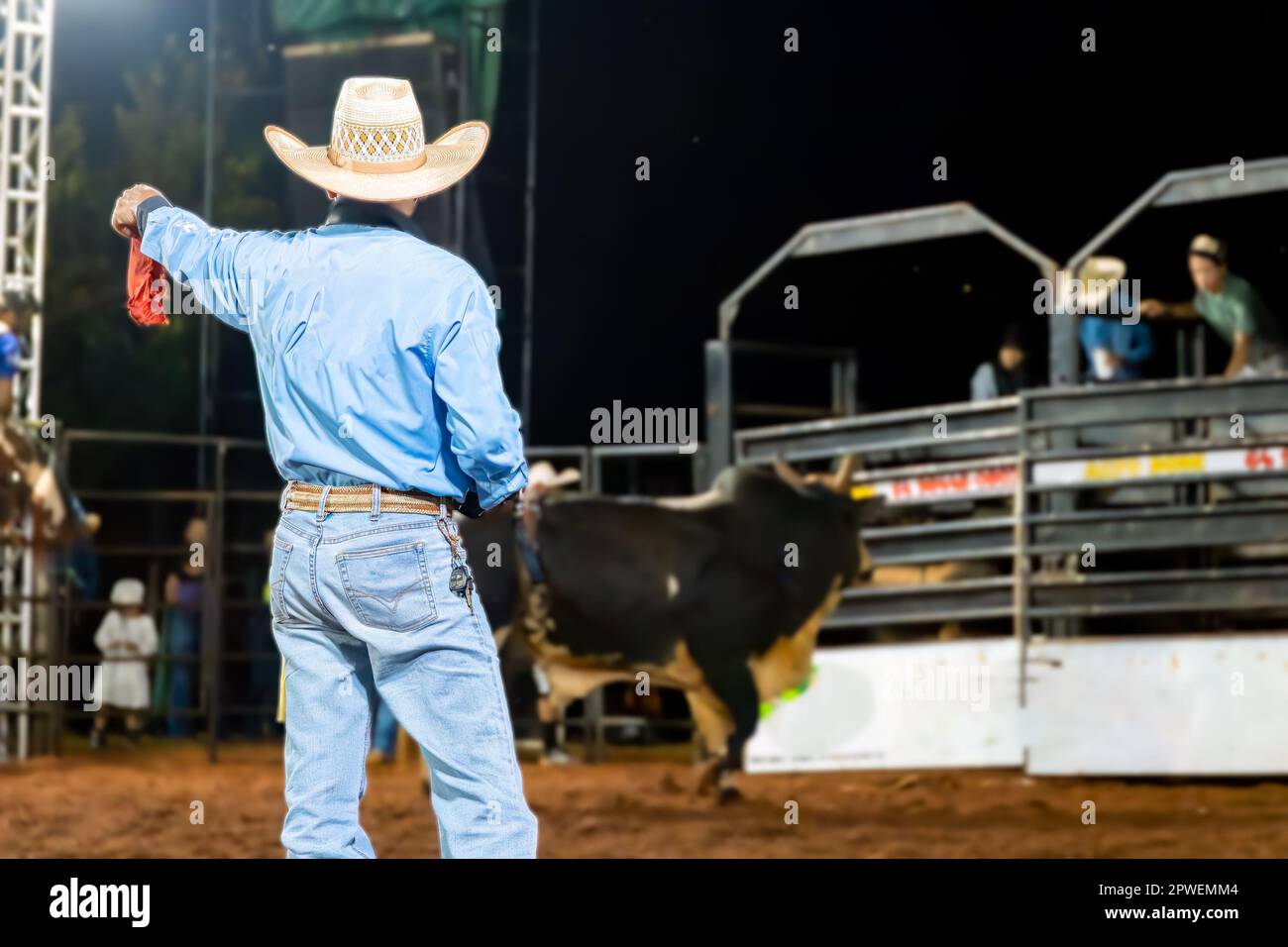 cowboy homme avec tissu rouge et vache en arrière-plan flou sélectif foyer Banque D'Images