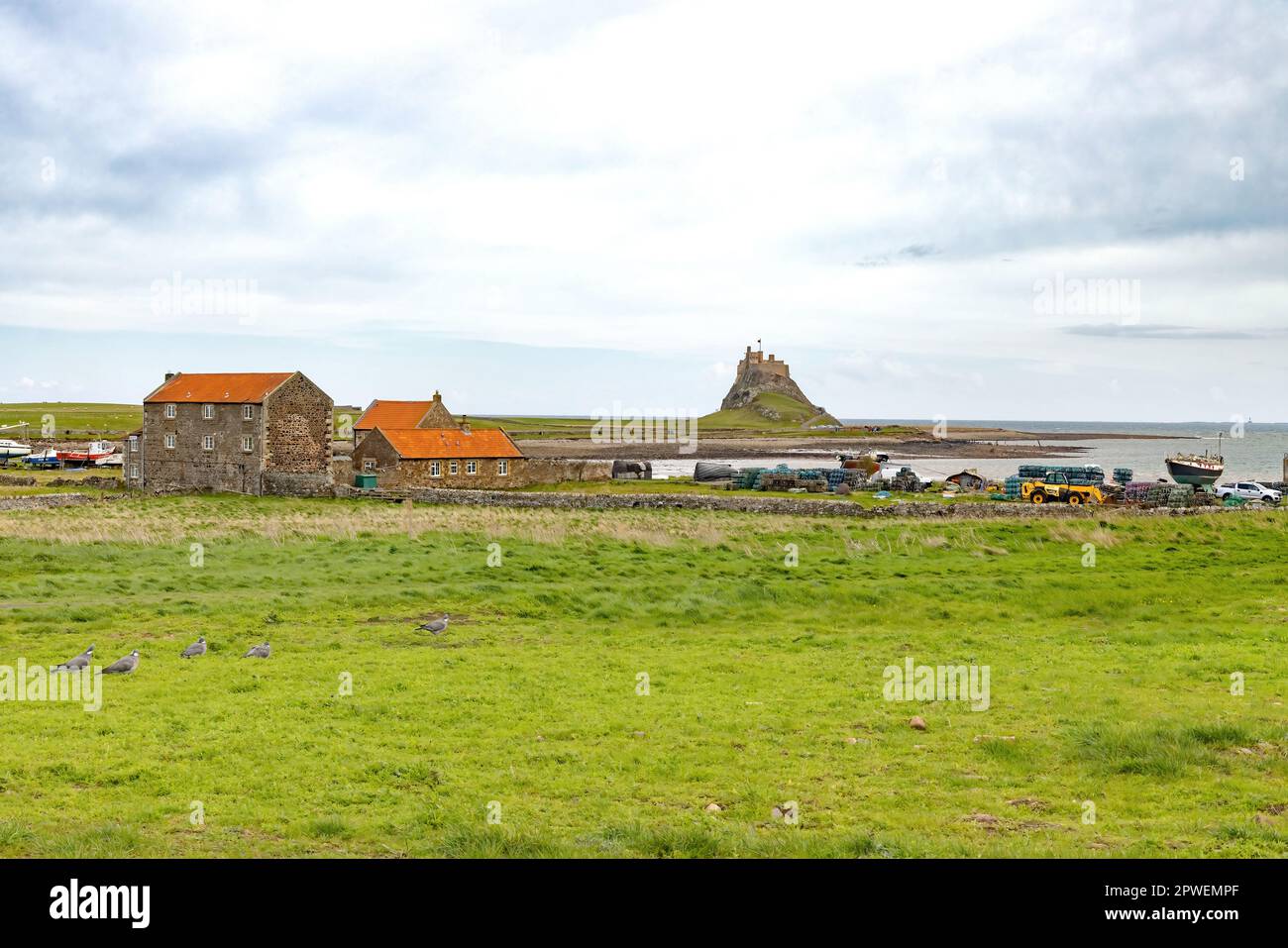 Château de Lindisfarne, vu à une distance du village de Lindisfarne; paysage de Northumberland; Île Sainte, Northumberland Angleterre Royaume-Uni Banque D'Images