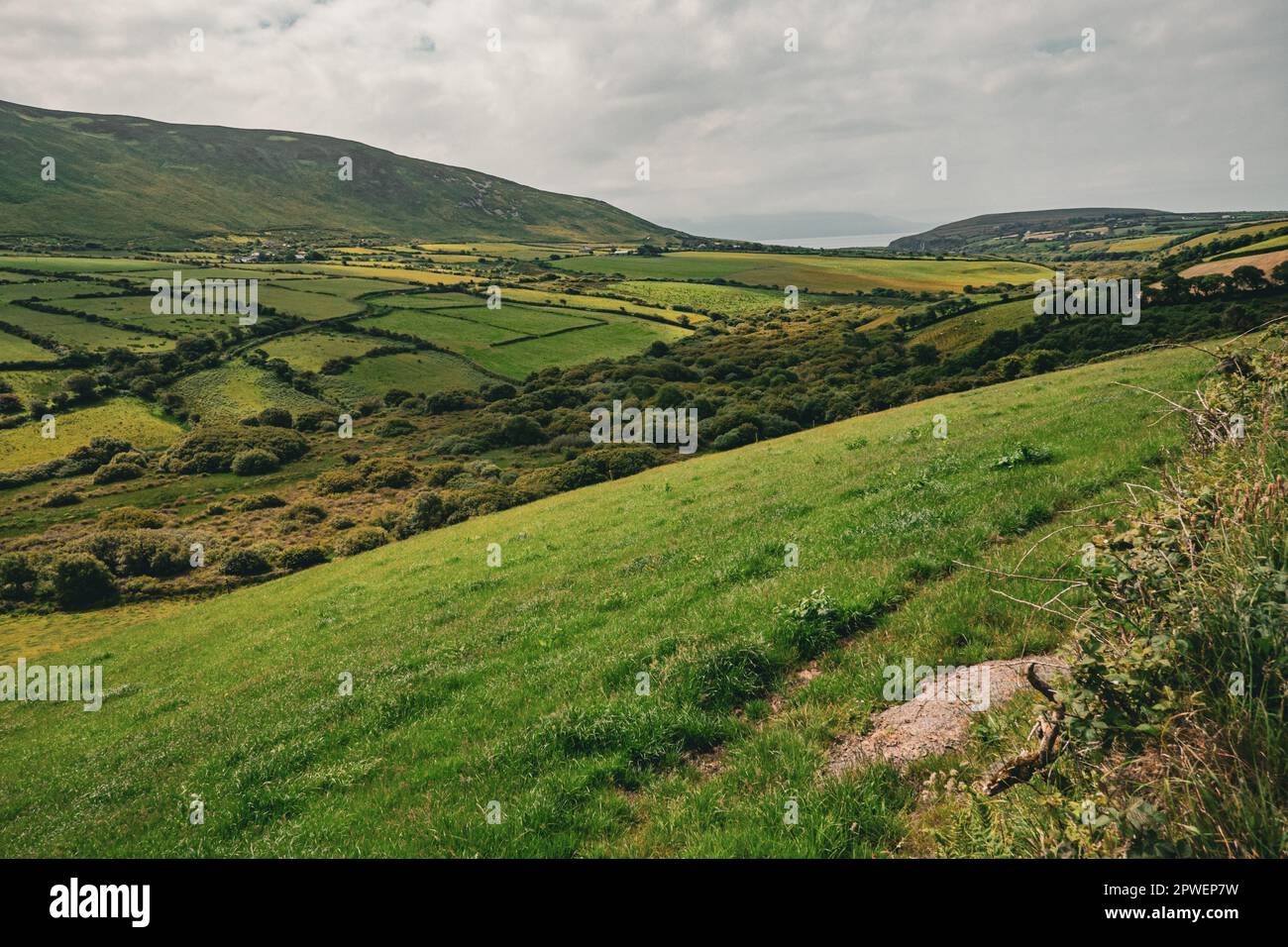Paysage irlandais des collines vertes Banque D'Images