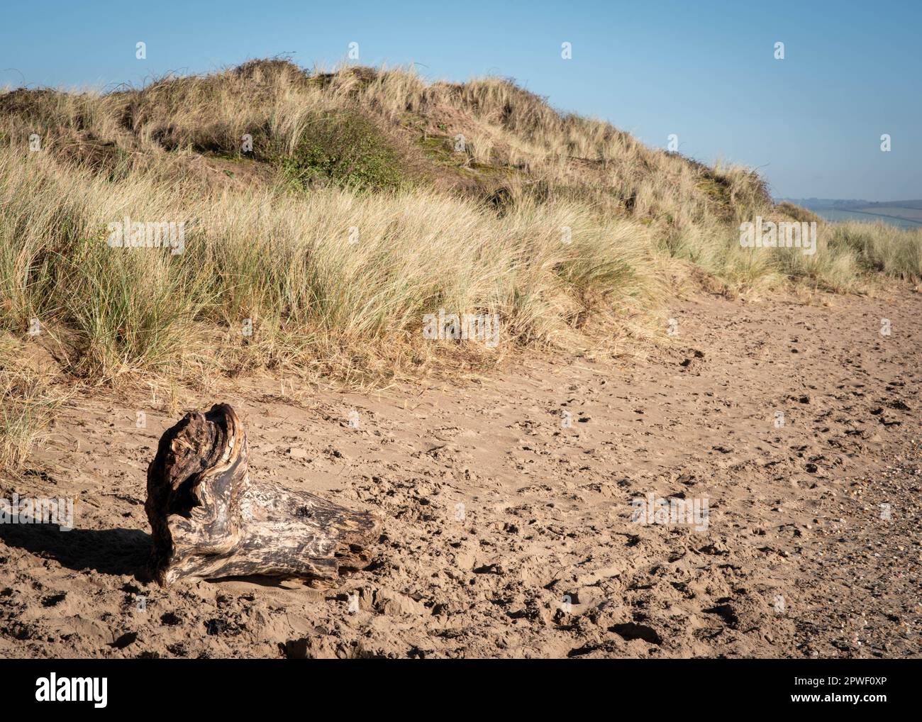 Plage de sable, bois flotté et dunes de sable à Crow point, dans le nord du Devon, par une belle journée d'hiver Banque D'Images