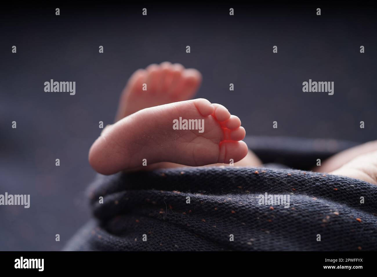 Bébé de petite taille pieds nus croisés sur une couverture bleu marine. vue rapprochée du pied de bébé le bébé est enveloppé confortablement dans une couverture bleue. nouveau-b Banque D'Images