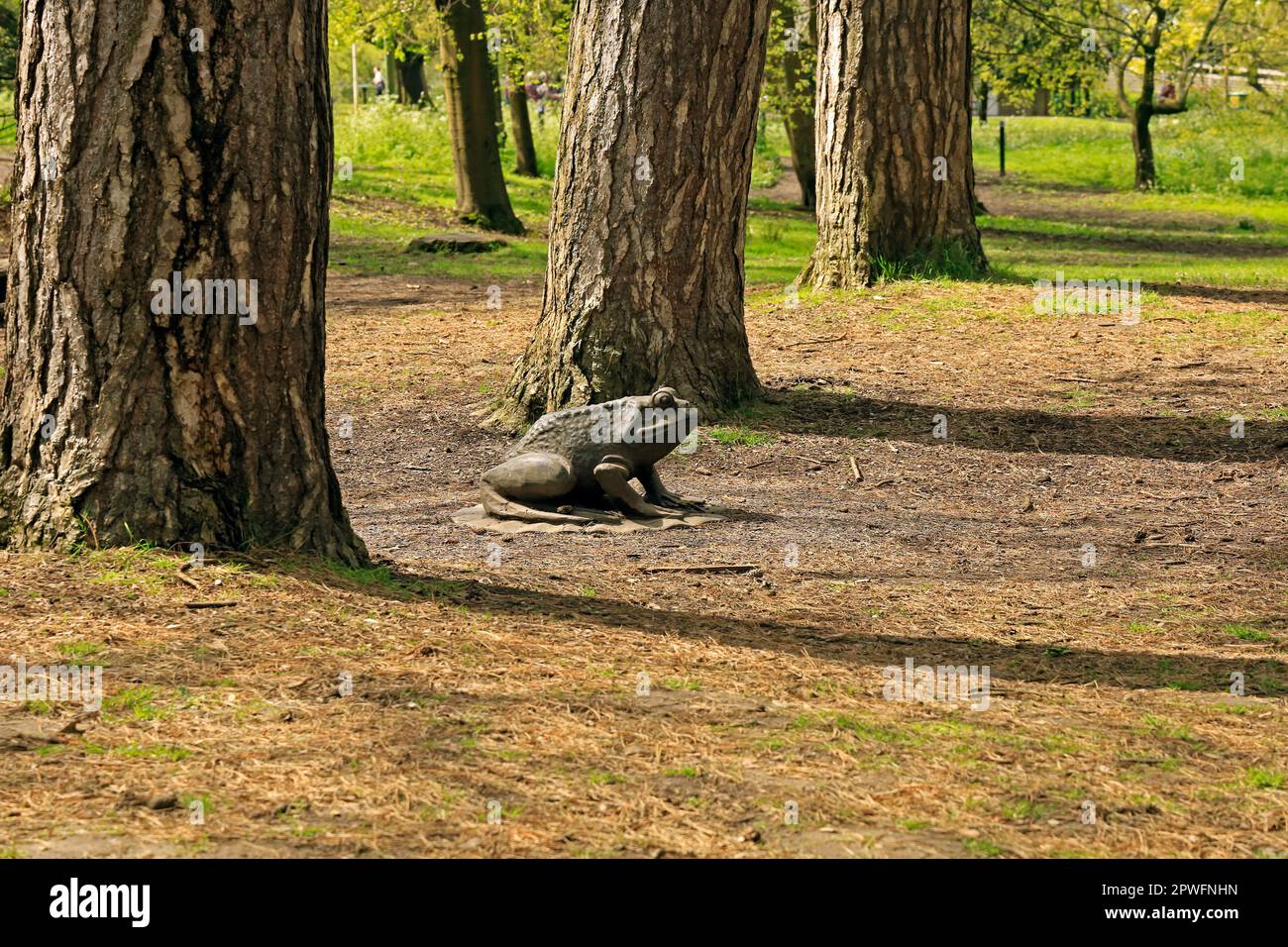 Grenouille géante en bois sur une bande de nénuphars, Bute Park, Cardiff. Pris en avril 2023. Ressort Banque D'Images