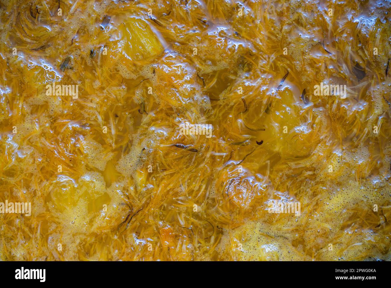 Faire de la confiture à partir de pétales mûrs de fleurs de pissenlit, d'orange, de citron et de sucre, vue de dessus, gros plan. Pissenlit plante médicinale célèbre Banque D'Images
