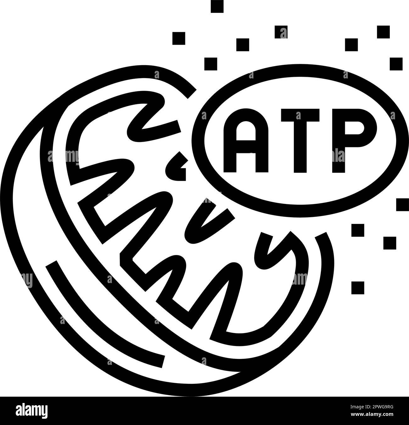 illustration vectorielle de l'icône de la ligne de biochimie de la respiration cellulaire Illustration de Vecteur