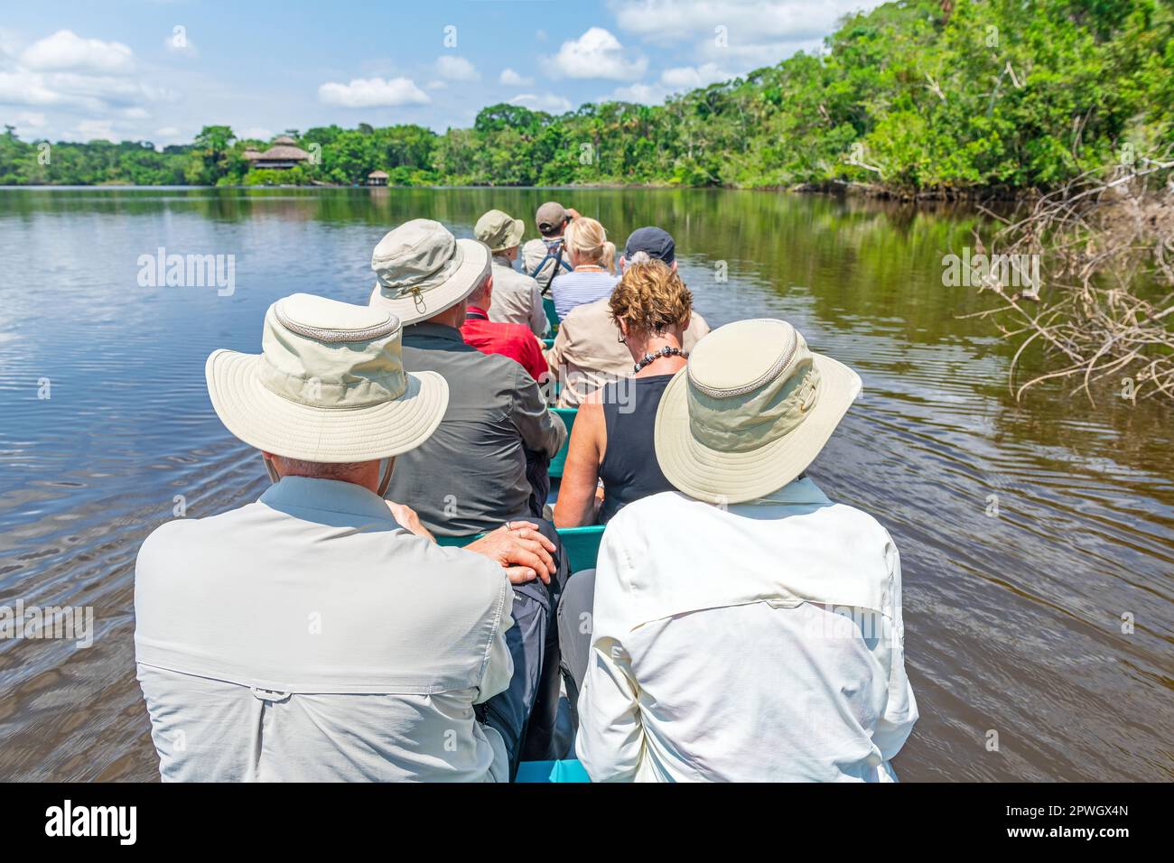 Groupe touristique arrivant à l'auberge de forêt amazonienne en canoë, parc national Yasuni, bassin de l'Amazone, Equateur. Banque D'Images
