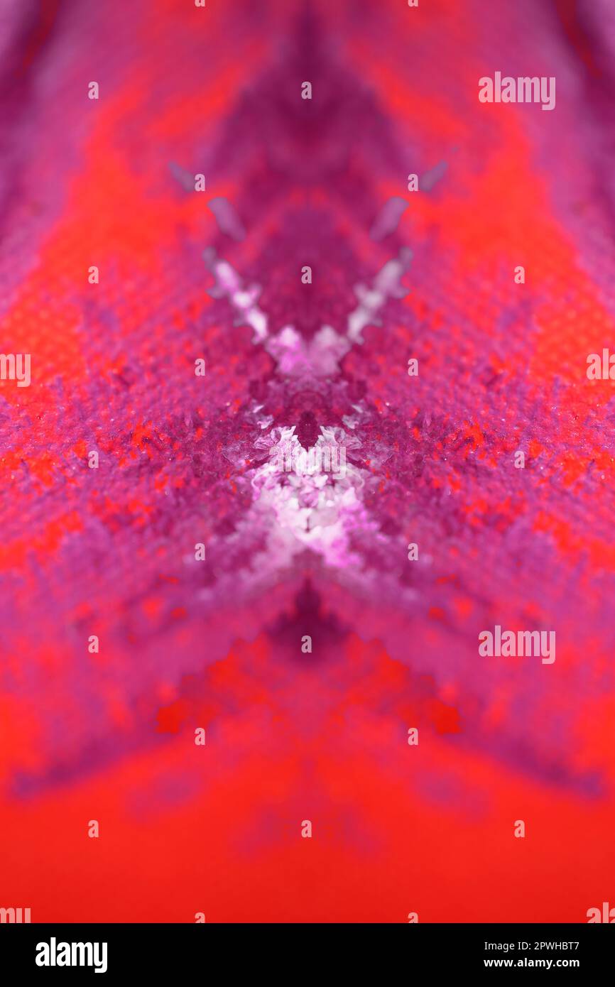 Coloré acrylique peinture résumés psychédélique création sur toile art attaque gros plan moderne haute qualité grande taille instantané stock photographie artistes pri Banque D'Images