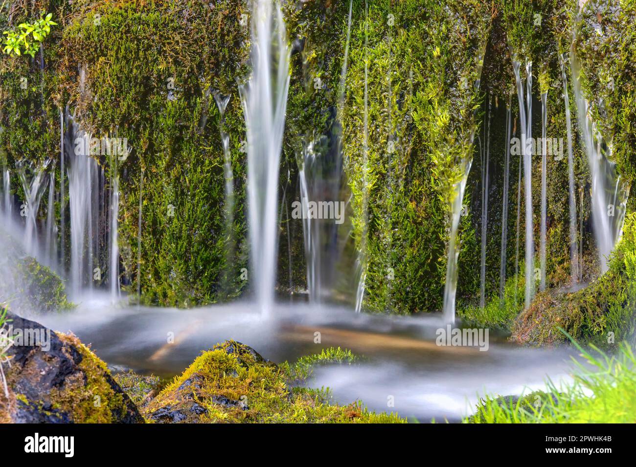 Détail d'une petite cascade dans la vallée de Gjain en Islande Banque D'Images