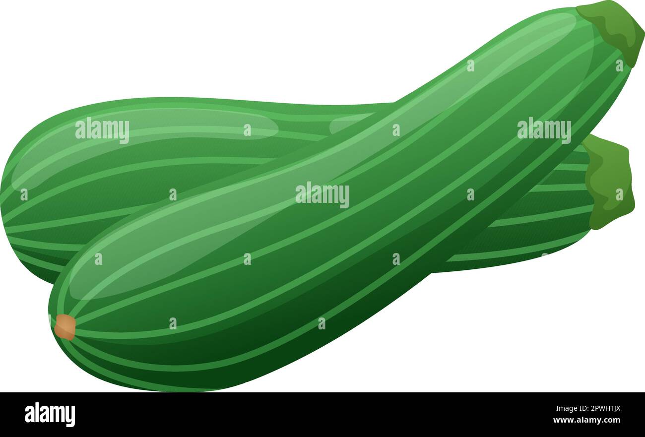 Esquisse de légumes de courge de courge de courgettes vertes Illustration de Vecteur