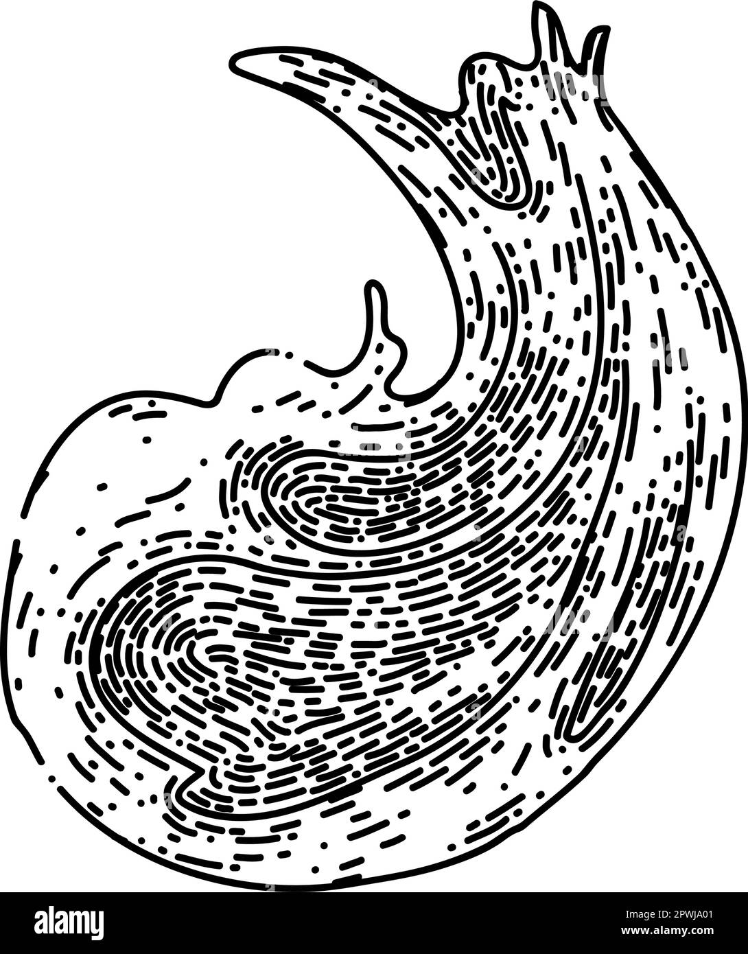 pâte à tartiner au chocolat tirée à la main. pain à la crème, jarre de noisettes, couteau à cacao, cuillère de beurre, pâte de chocolat crémeuse aux noix, croquis vectoriel. bla isolé Illustration de Vecteur