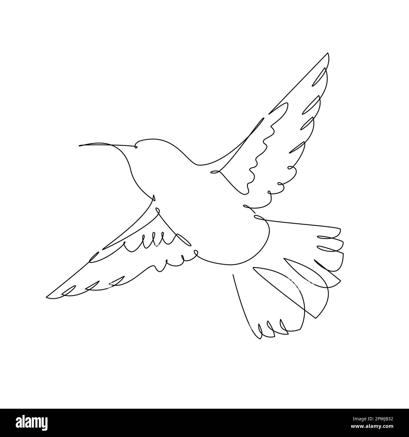 Dessin continu d'une ligne de colibris volant. Illustration vectorielle. Illustration de Vecteur