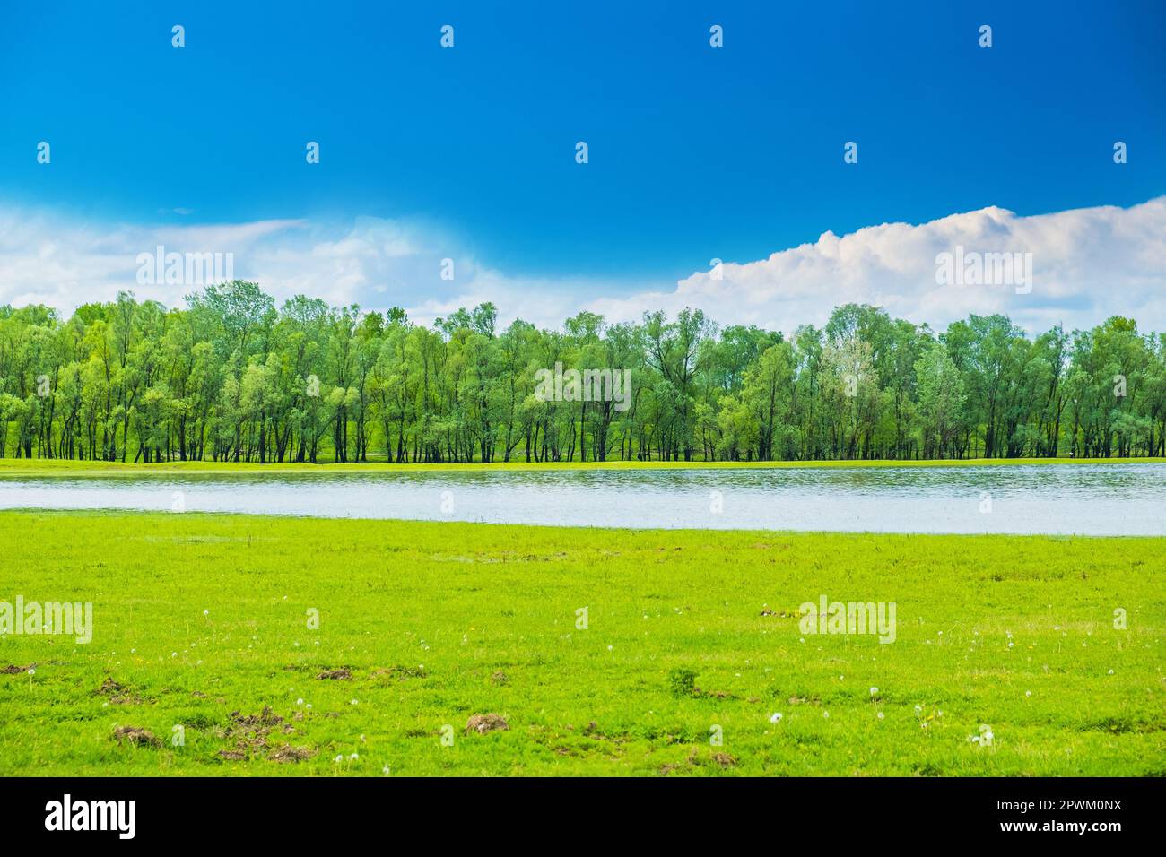 Beau paysage en coutryside, distributeur de la rivière Sava dans le parc naturel Lonjsko polje, Croatie Banque D'Images