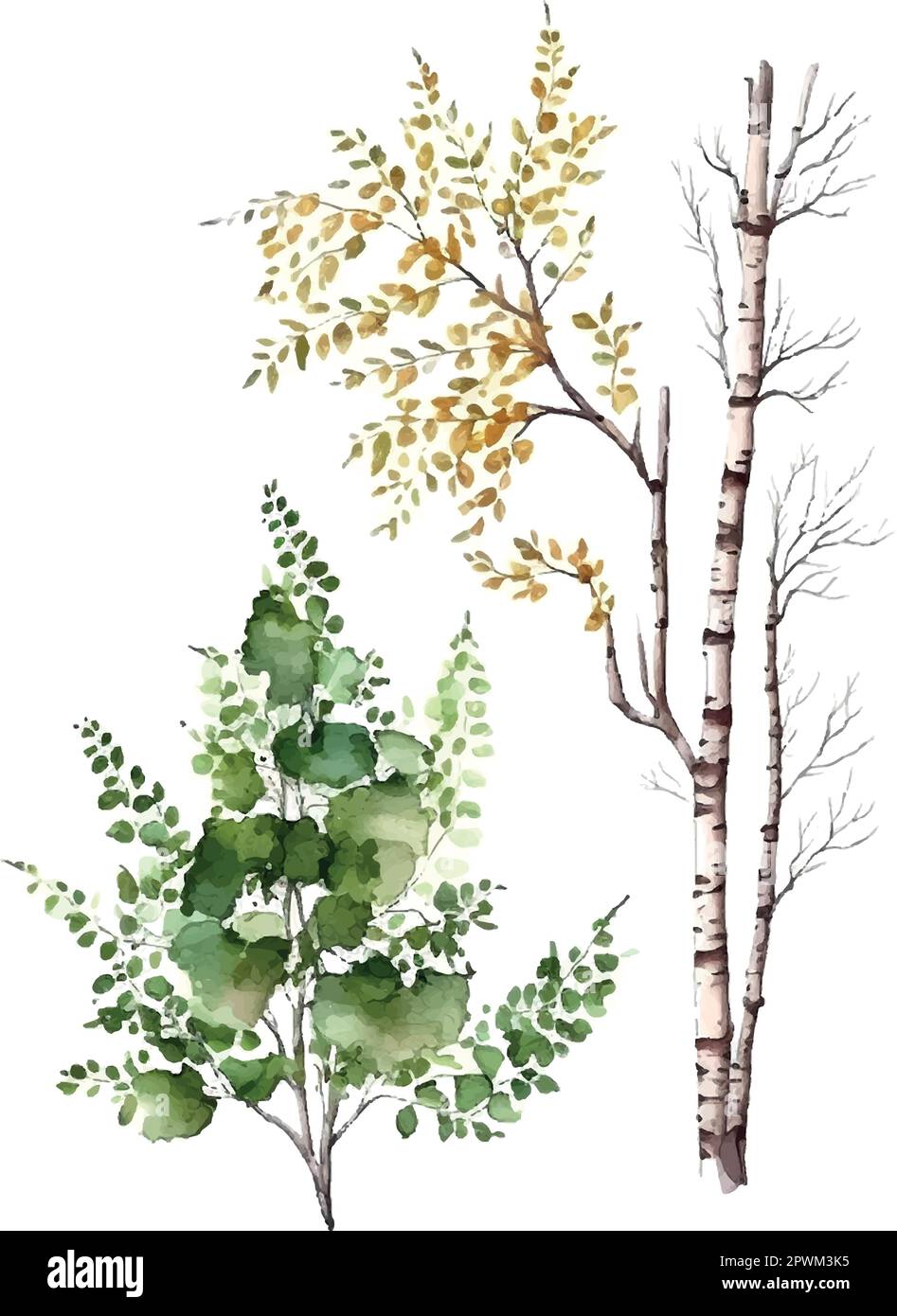 Aquarelle bouleau arbres Russie arbre Elément de conception pour fonds d'écran, site web arrière-plan Illustration vectorielle. Illustration de Vecteur