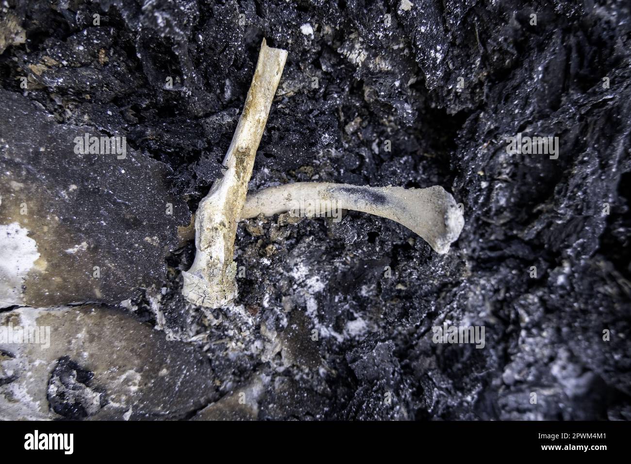 Détail de l'ancien crématorium avec des restes d'os humains, cimetière Banque D'Images