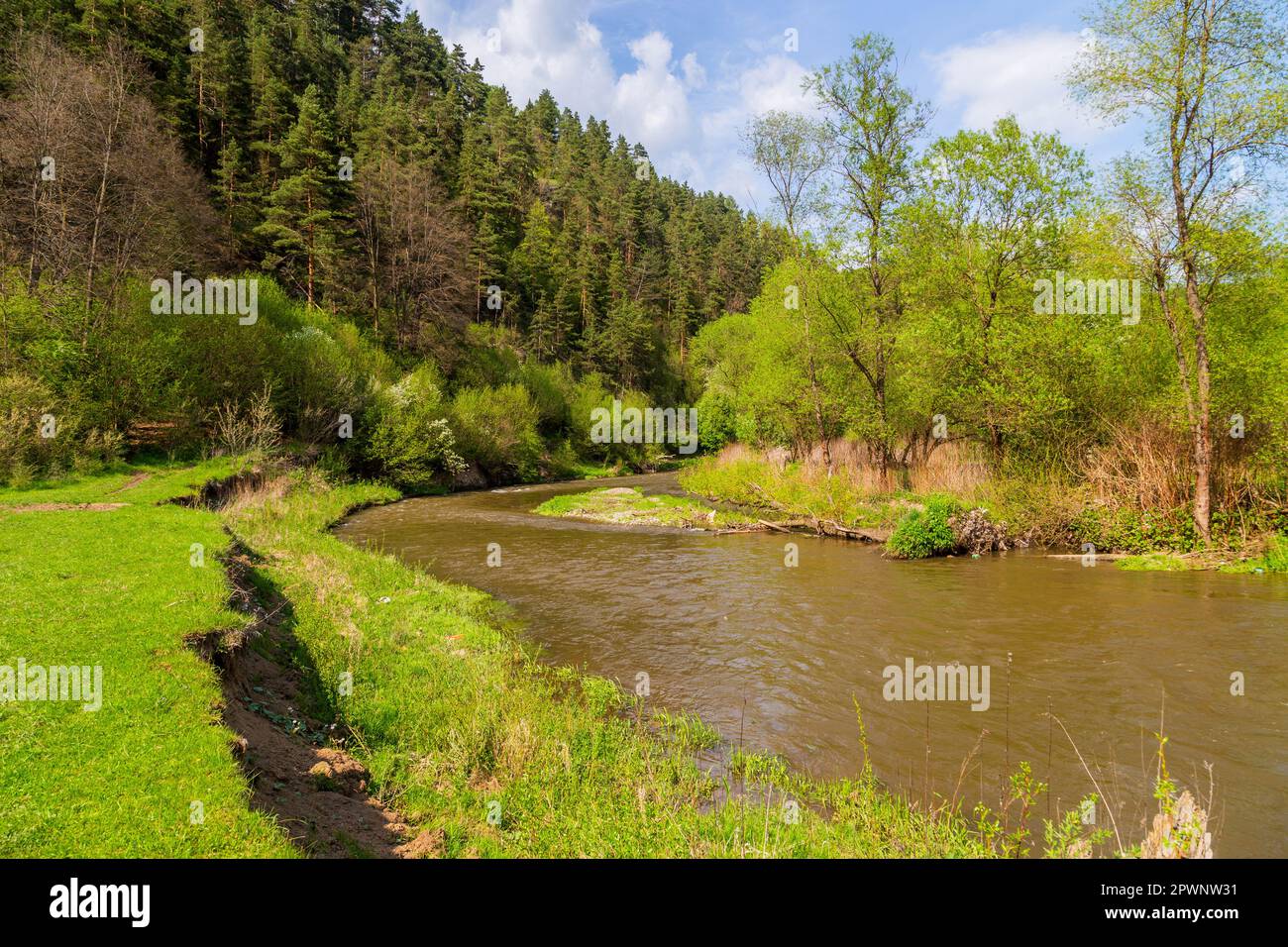 Rivière Hornad près de Tomasovsky dans la vallée de Hornad dans le parc national du Paradis Slovaque, Slovaquie Banque D'Images