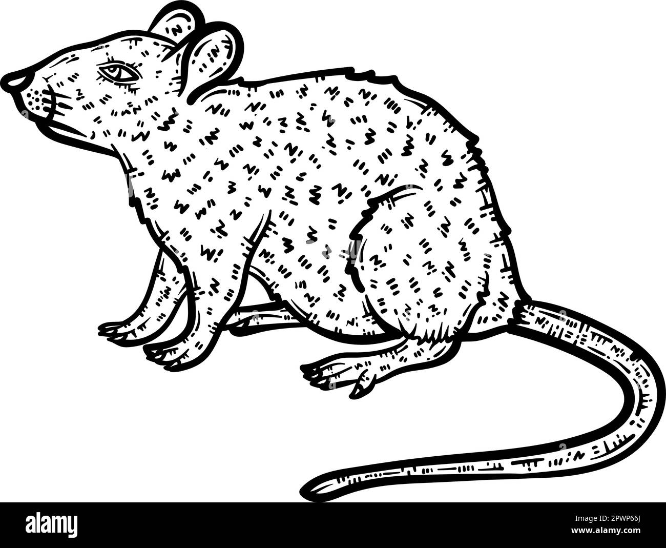 Page de coloriage animal de souris pour adultes Illustration de Vecteur