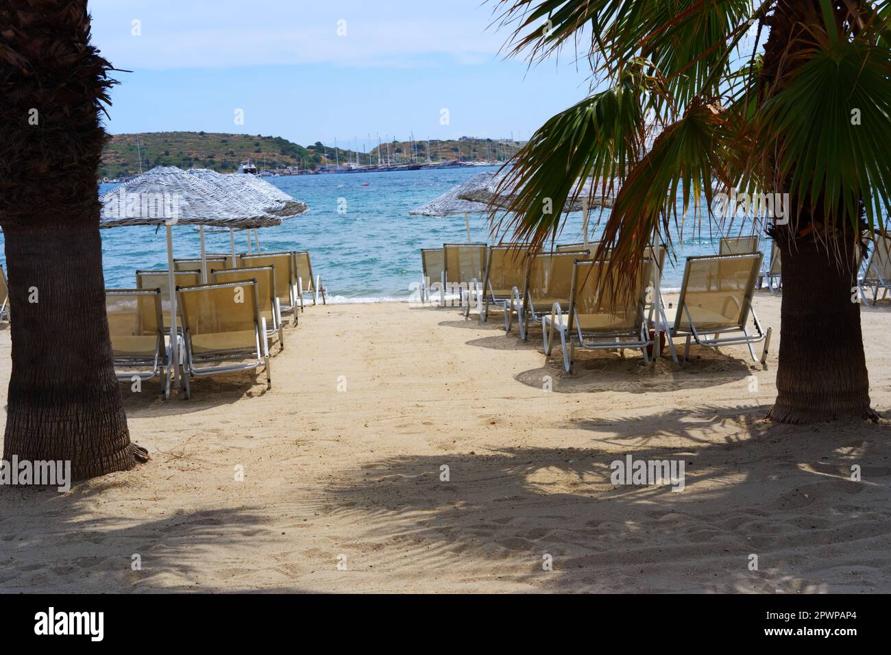 Chaises longues vides à la plage de sable avec parasols bambu. Collines et arbres en arrière-plan Banque D'Images