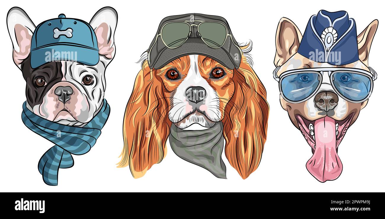 Ensemble vectoriel de chiens en chapeau, cavalier King Charles Spaniel, Bulldog français et American Akita race Illustration de Vecteur