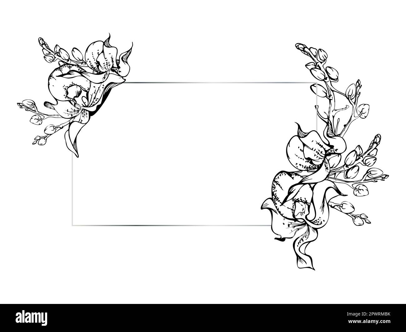 Fleurs et branches d'orchidées à encre vectorielle dessinées à la main, monochrome, contour détaillé. Composition horizontale du cadre. Isolé sur fond blanc. Conception Illustration de Vecteur