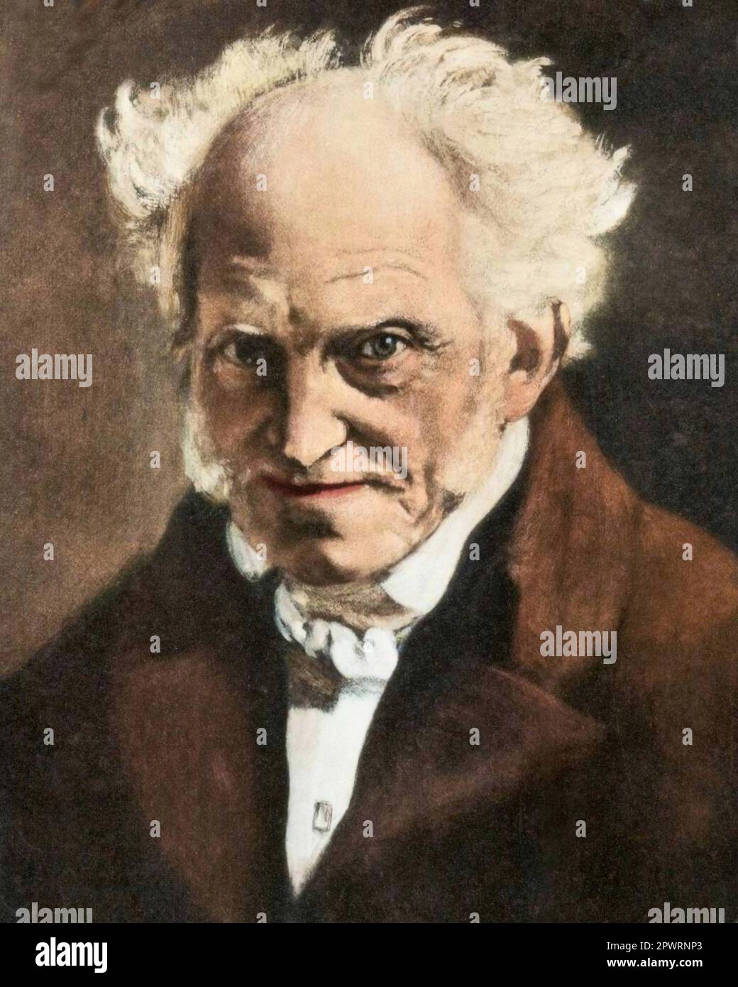 Portrait d'Arthur Schopenhauer Banque D'Images