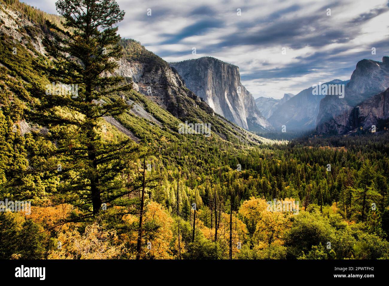Yosemite Valley depuis tunnel View. Parc national de Yosemite, Californie. Banque D'Images