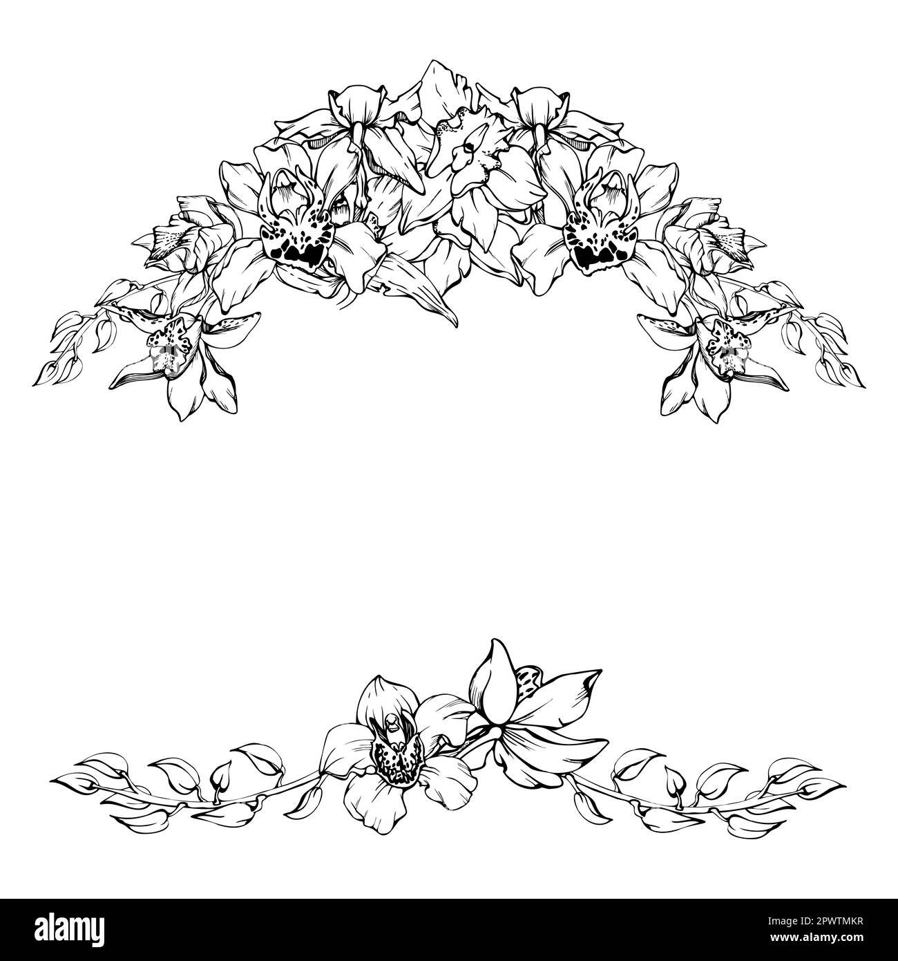 Fleurs et branches d'orchidées à encre vectorielle dessinées à la main, monochrome, contour détaillé. Composition horizontale du cadre. Isolé sur fond blanc. Conception Illustration de Vecteur