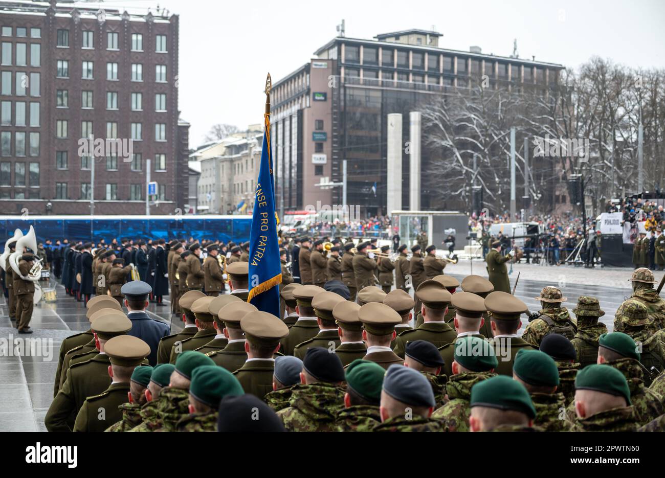 Les forces militaires estoniennes de différentes divisions se sont alignées sur la place principale pendant le jour de l'indépendance, éclipsées par la guerre en Ukraine Banque D'Images