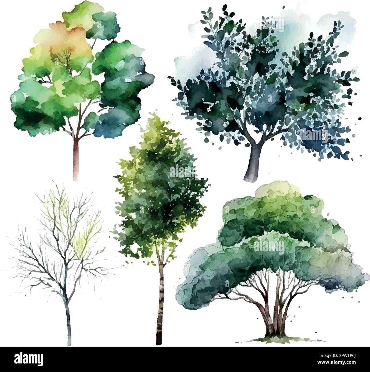 Aquarelle arbre main dessiner vecteur nature peinture Illustration de Vecteur