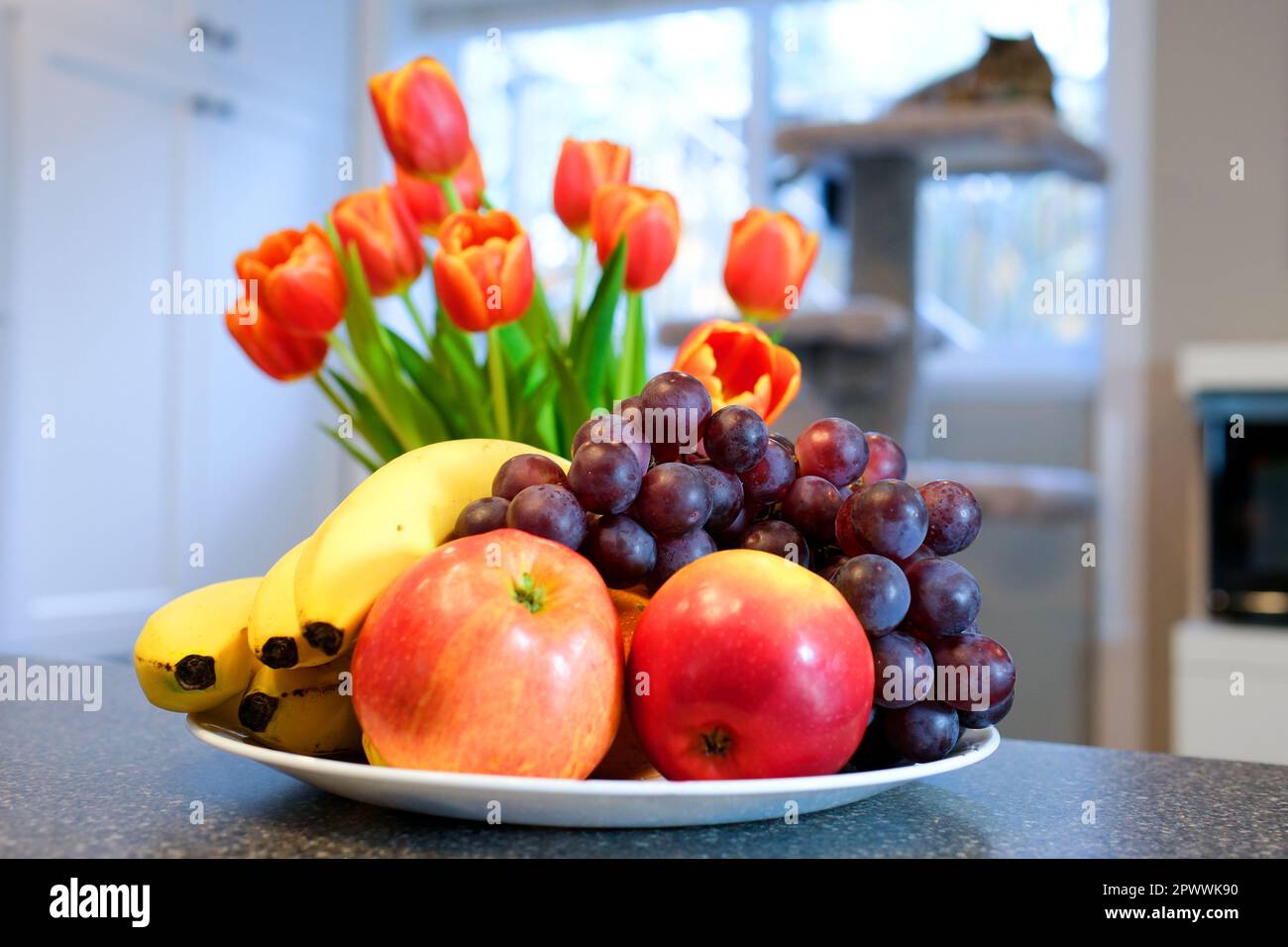 sur la plaque blanche pommes raisins et bananes tulipes rouge vif avec une bordure jaune gros plan sur un chat et un arbre près de la fenêtre cuisine petit-déjeuner Banque D'Images