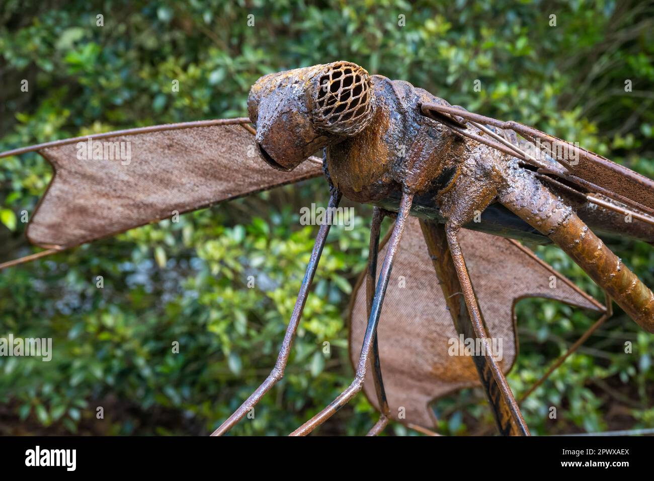 Sculpture de jardin de libellules au jardin botanique d'Atlanta à Gainesville, Géorgie. (ÉTATS-UNIS) Banque D'Images