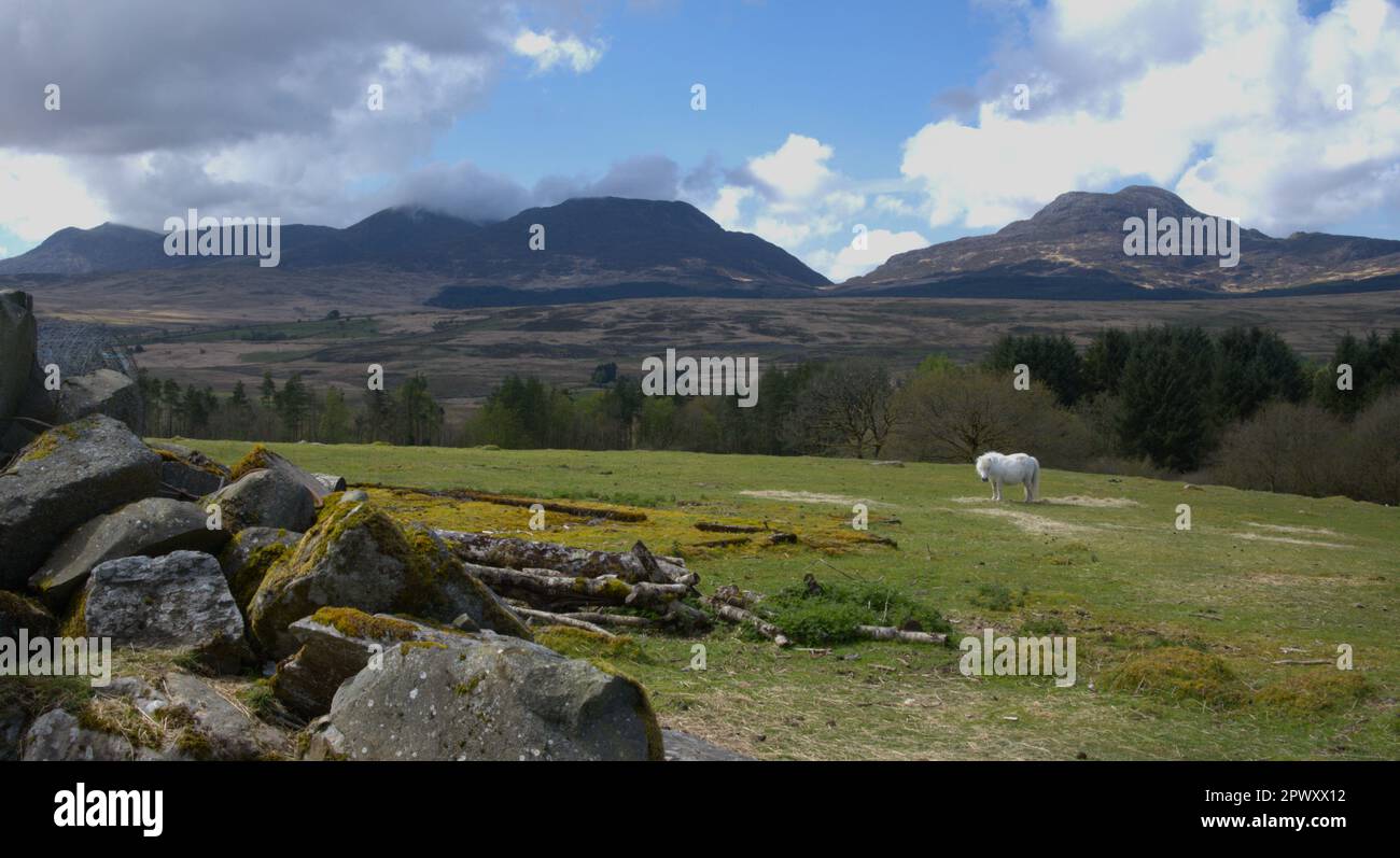 Les montagnes Rhinog, Gnynedd pays de Galles Royaume-Uni Banque D'Images