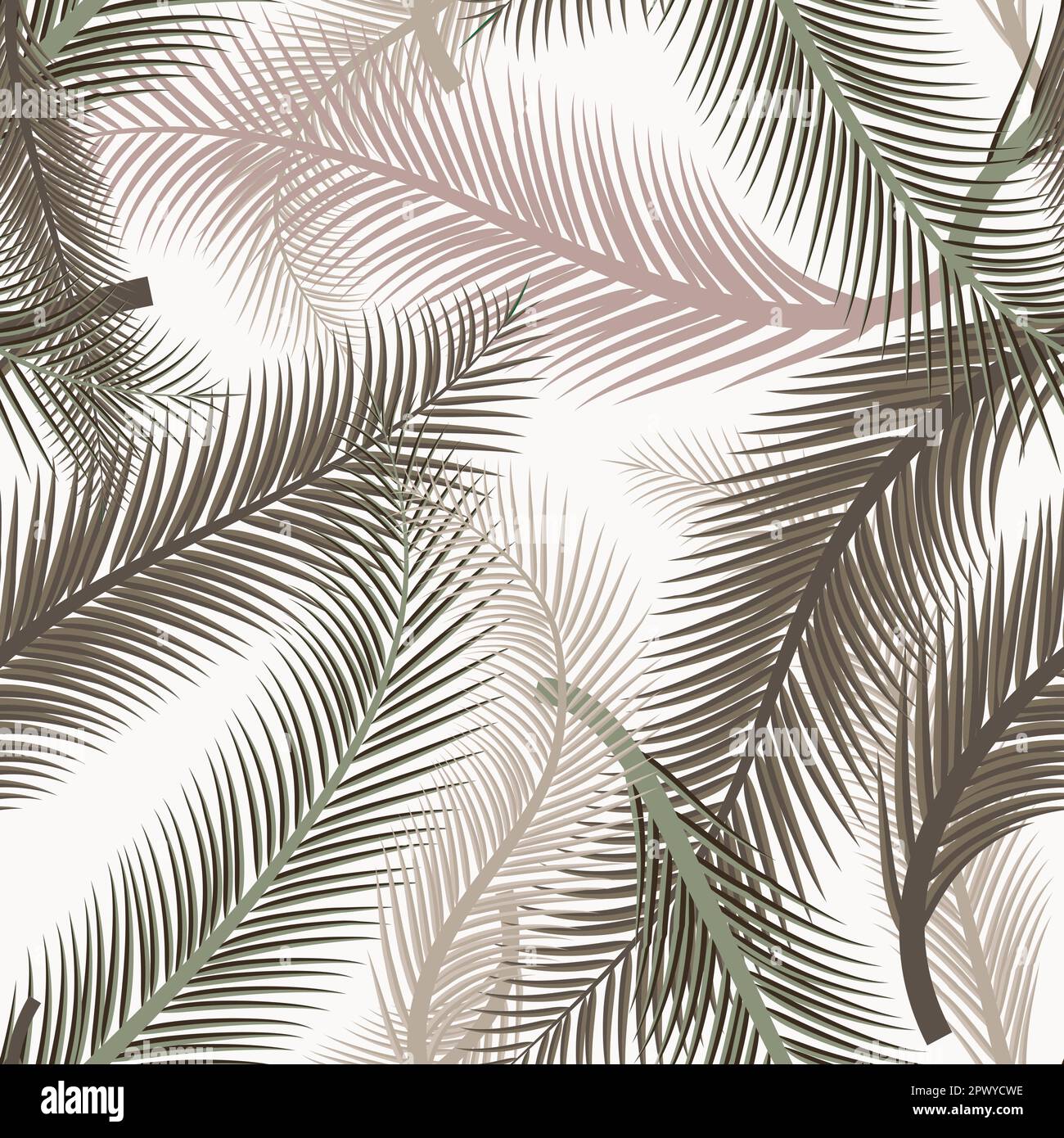 Feuilles de palmier. Motif sans couture. Arrière-plan vectoriel. Forêt exotique illustration imprimé sur blanc Illustration de Vecteur