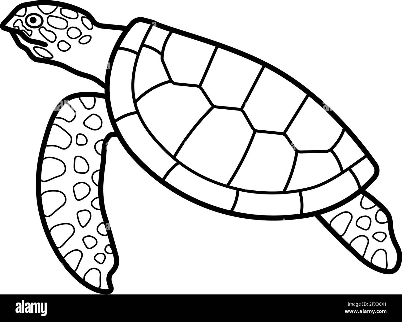 Tortue de mer nageant isolée sur fond blanc. Animaux sauvages et concept de conservation de la nature. Illustration dessin noir et blanc. Illustration de Vecteur