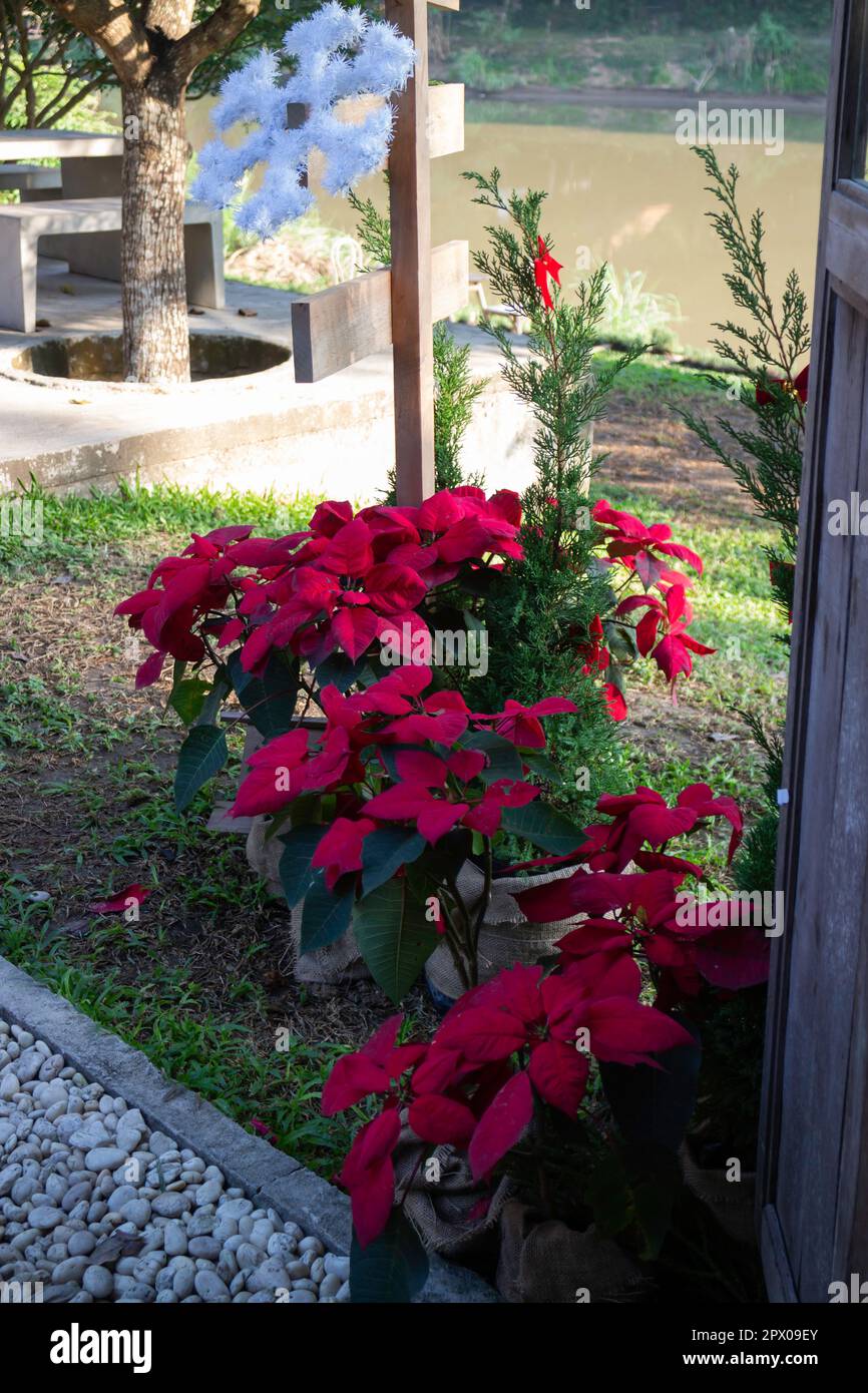 Décorations de Noël et du nouvel an en saison de salutation, photo de stock Banque D'Images