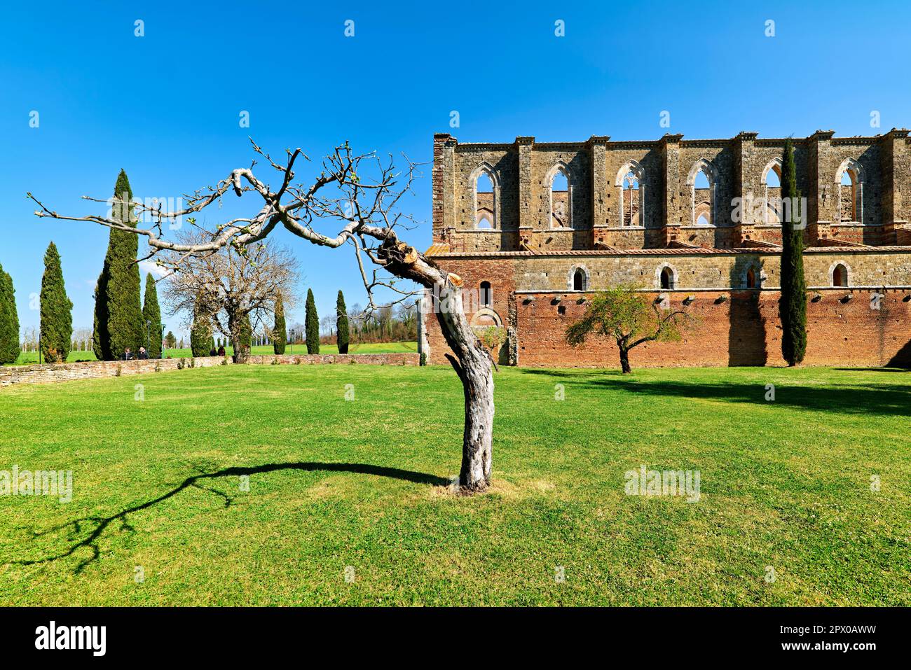 L'abbaye sans toit de Saint Galgano. Sienne Toscane Italie Banque D'Images