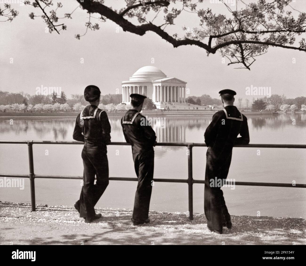 1940S TROIS MARINS DE LA MARINE AMÉRICAINE EN ROBE BLUES REGARDANT LE JEFFERSON MEMORIAL PENDANT LE FESTIVAL DES CERISIERS EN FLEURS WASHINGTON DC USA - Q75051 CPC001 HARS PAIX TRAVAIL D'ÉQUIPE JOIE CONFLIT MARIN WW2 MARINE ÉTATS-UNIS COPIER ESPACE AMITIÉ PERSONNES PLEINE LONGUEUR ÉTATS-UNIS D'AMÉRIQUE AMERICA FESTIVAL MÂLES FORCE B&W AMÉRIQUE DU NORD LIBERTÉ RÊVES NORD-AMÉRICAINS AVENTURE CHERRY WORLD NAVAL DISTRICT OF COLUMBIA EXCITATION WORLD LES GUERRES FIERTÉ LA GUERRE MONDIALE LA GUERRE MONDIALE DEUX VUE ARRIÈRE LA GUERRE MONDIALE II AT SUR LES OCCUPATIONS MARINS UNIFORMES DES FORCES DE CAPITAL DE DERRIÈRE LES MARINES GUERRE MONDIALE 2 USN VUE ARRIÈRE BLOSSOMS BLUES TOGETHNESS Banque D'Images