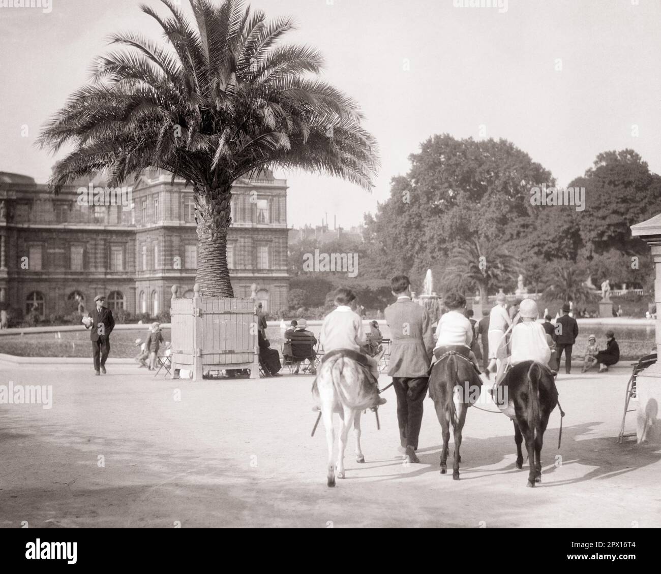 1920S ENFANTS À CHEVAL PONEYS LUXEMBOURG JARDINS PARIS FRANCE - R4337 HAR001 HARS SCENIC MÂLES PONEY TRANSPORT EUROPE B&W AVENTURE EUROPÉENNE DIVERTISSEMENT EXTÉRIEUR PARCS LOISIRS VUE ARRIÈRE OCCUPATIONS PALAIS DE DERRIÈRE LES VILLES JARDINS PUBLIC PARC PALM TREE LUXEMBOURG PALAIS DE RETOUR VOIR MARIE DE MÉDICIS MANÈGES NOIR ET BLANC GRAND BASSIN HAR001 PONEYS À L'ANCIENNE Banque D'Images